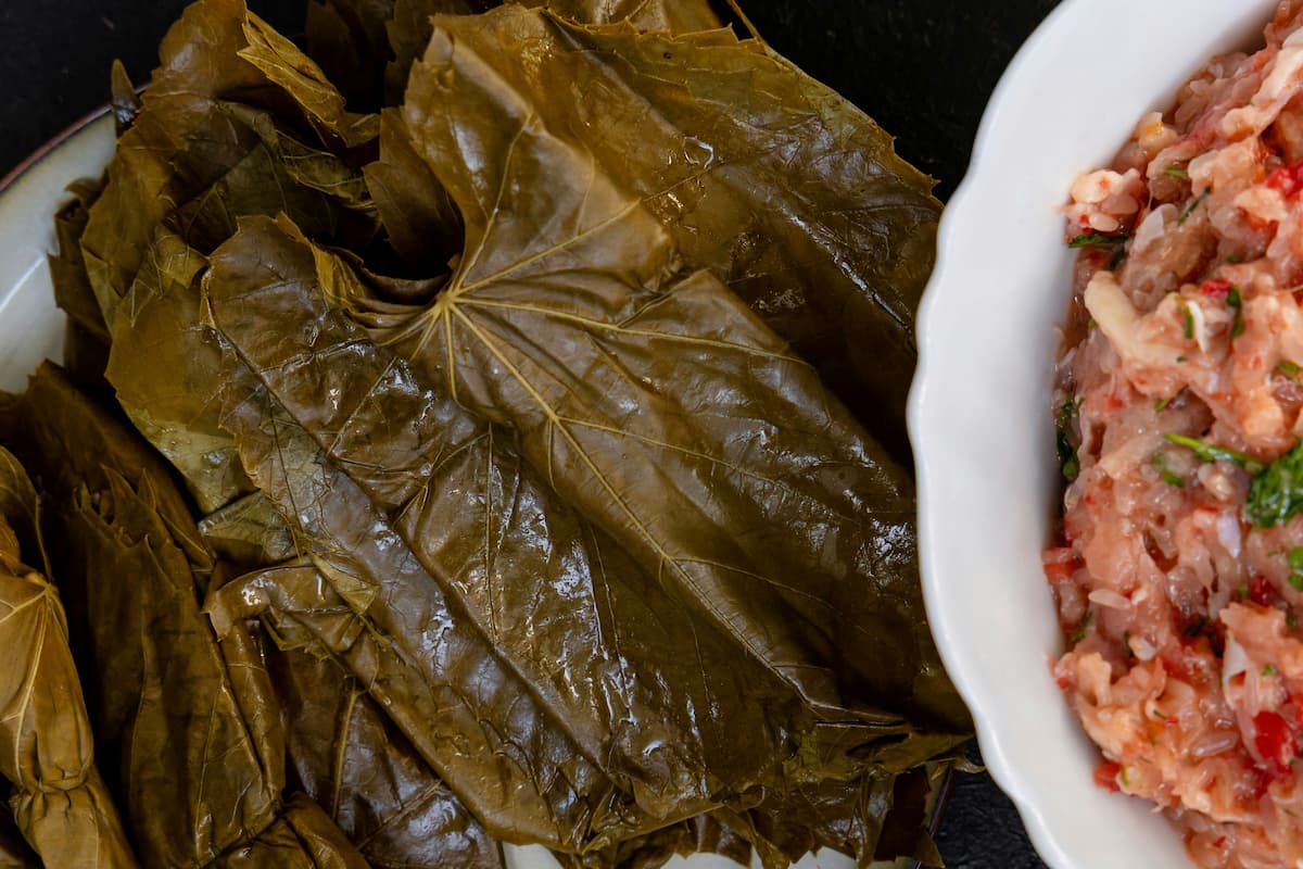 Dolma